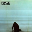 FOALS What Went Down LP