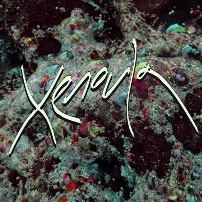 XENOULA Xenoula LP